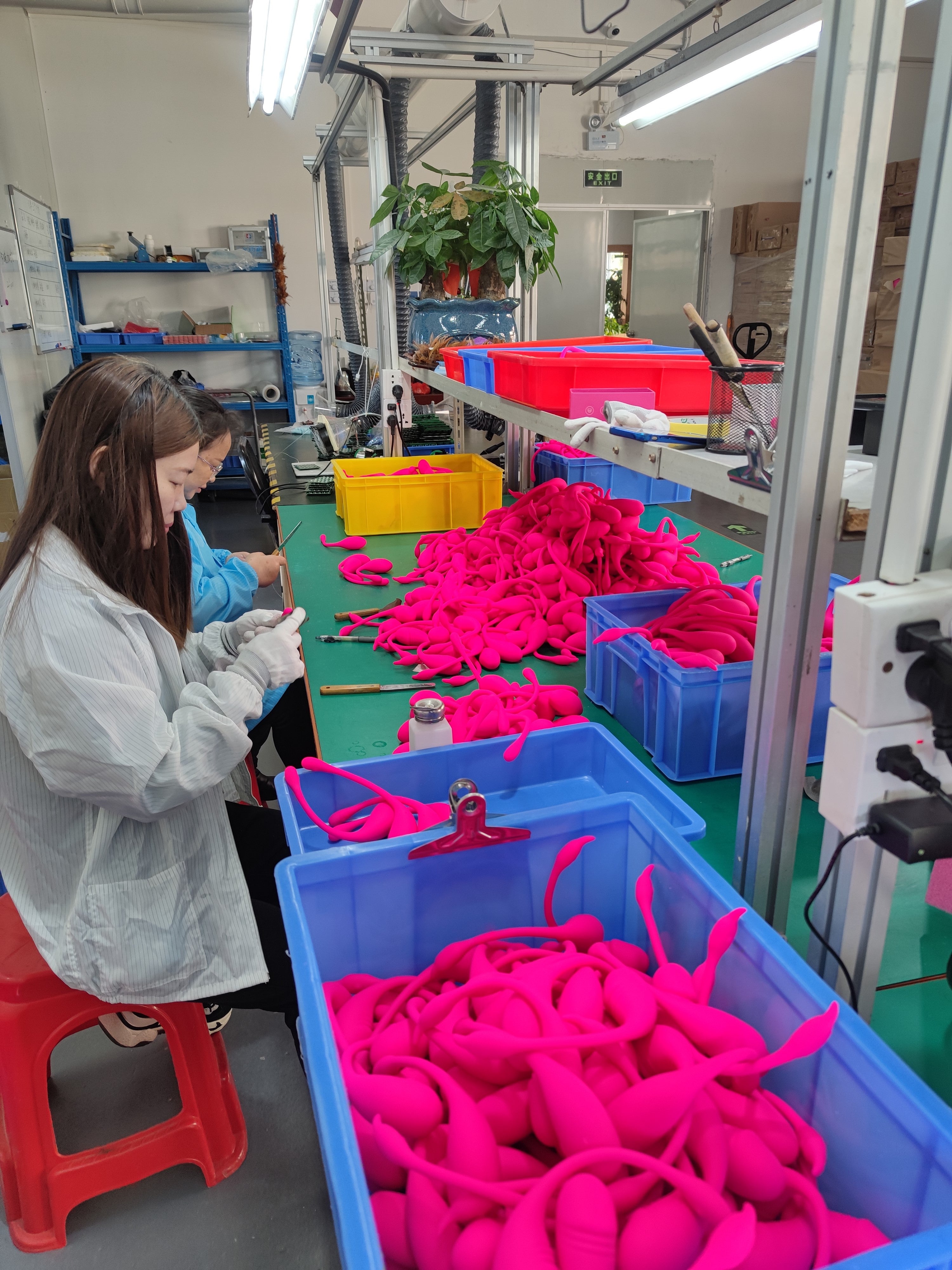 036ae825-4df6-4313-a68f-72ddb81e2f7b