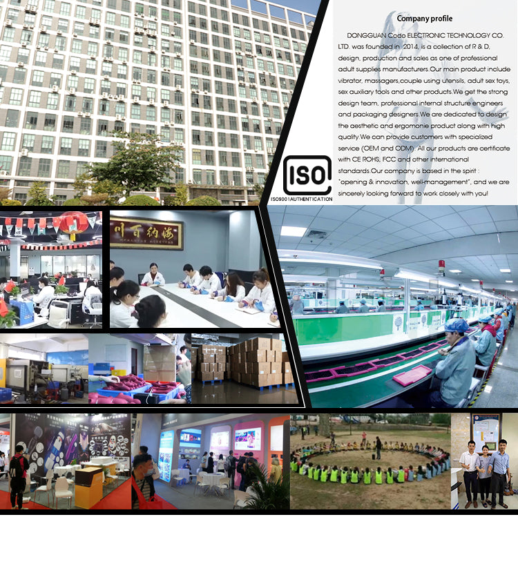 bbe596db-daca-4151-978c-c700da5fb29a