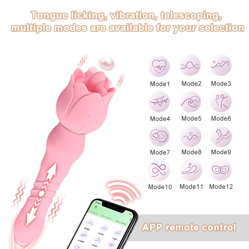 55e267cd-dfca-4698-bd0e-841764585325