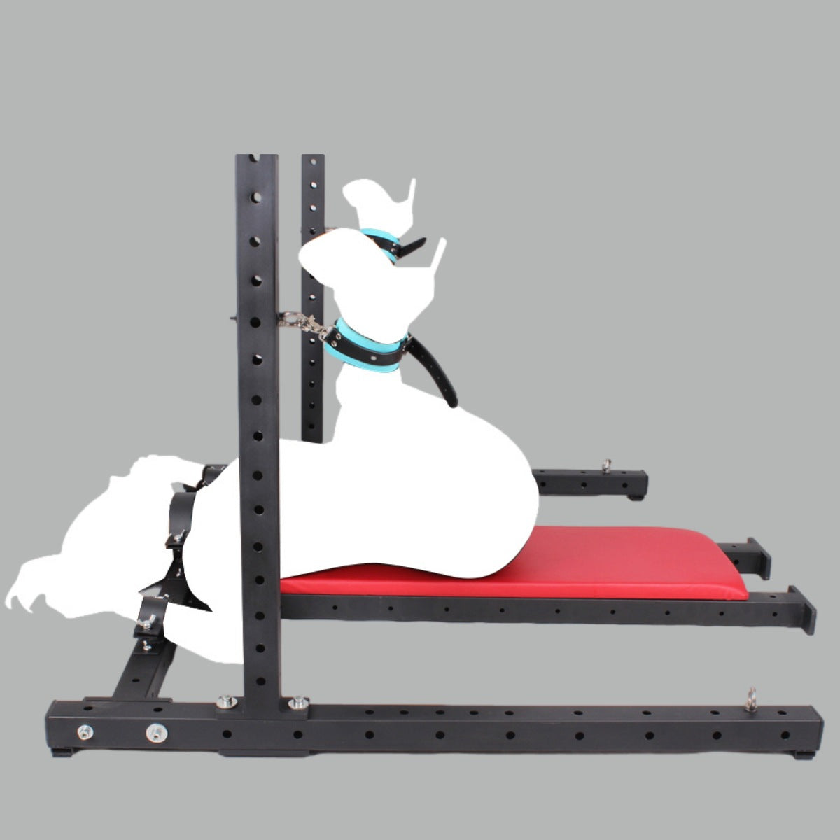 5b8ed083-1253-40e1-b17f-23d4847b6f1a